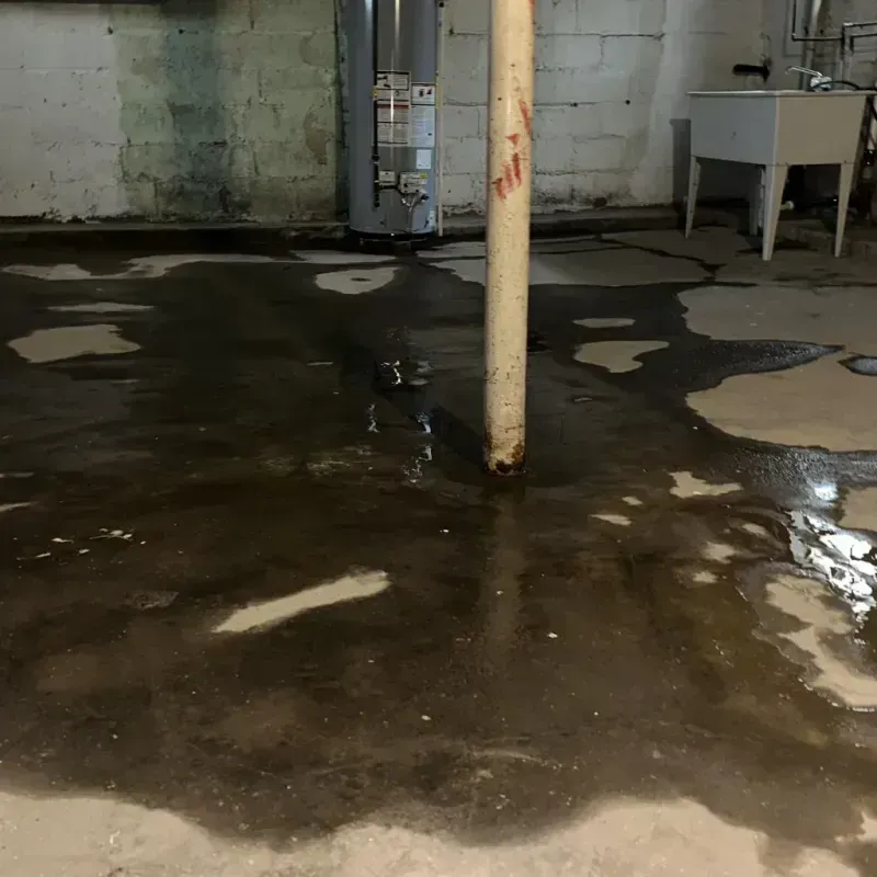 Emergency Water Extraction And Removal in Elko New Market, MN